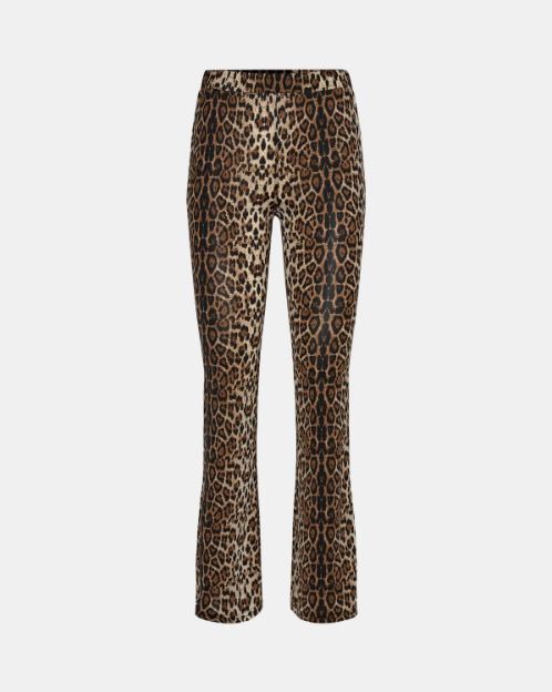 Leopard tights