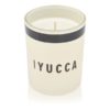 YUCCA SCENT CANDLE - 210 gram