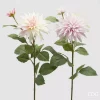 Dahlia