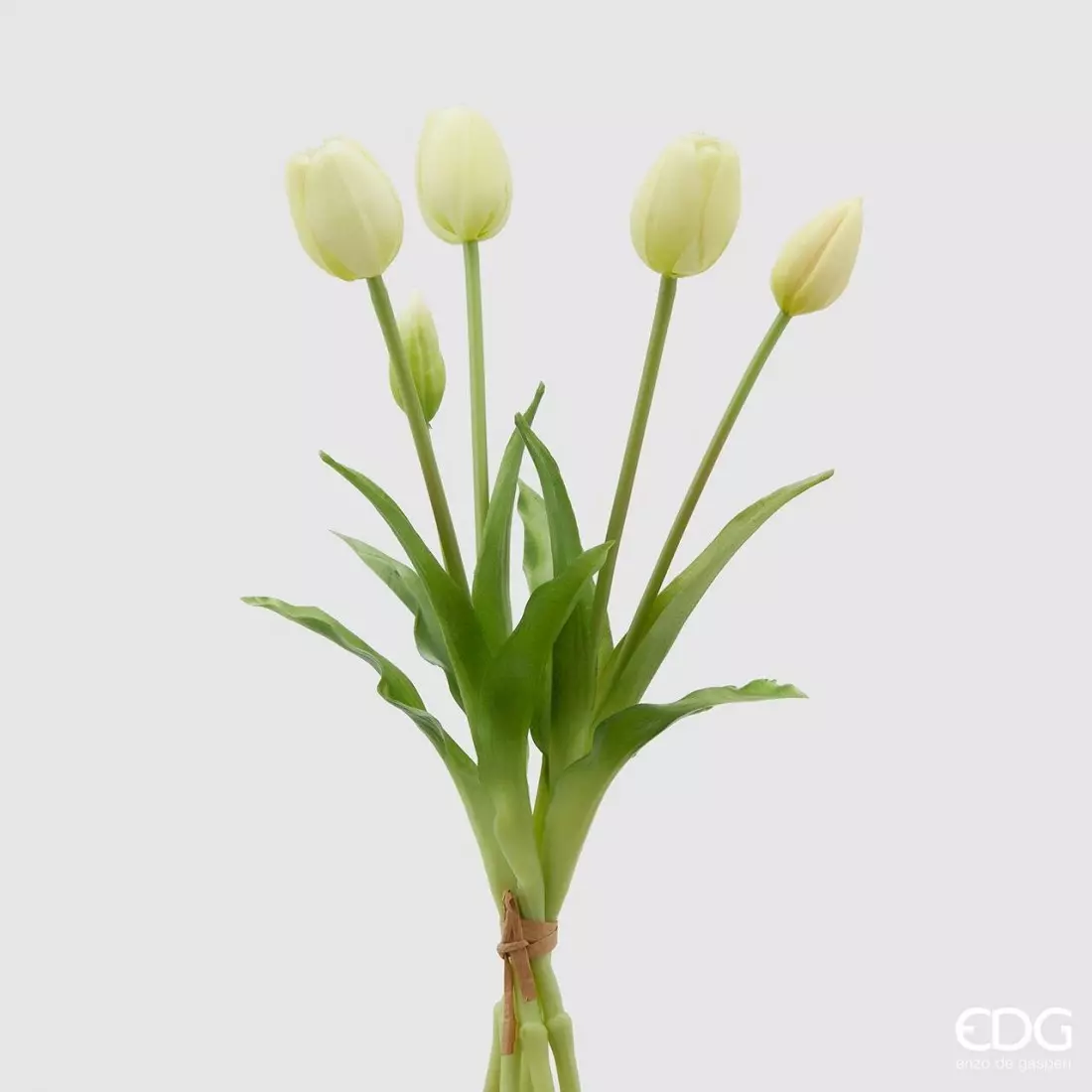Tulipan hvit