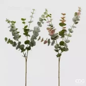 gallery-33086-for-232893700