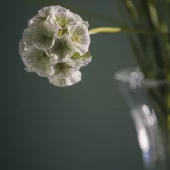 gallery-33090-for-2100284A100