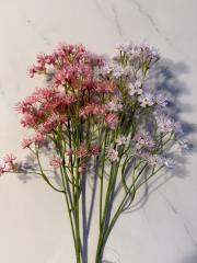 gallery-33173-for-2100606A555