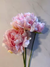 gallery-33182-for-2100569A500
