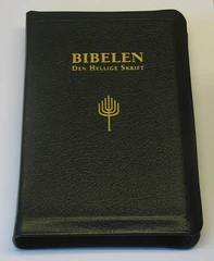 Bibelen - Den Hellige Skrift (88/07). Storskrift. Sort, mykt kalveskinn. (BM)