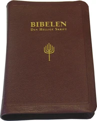 Bibelen - Den Hellige Skrift (88/07). Storskrift. Burgunder geiteskinn. (BM)