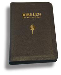 Bibelen - Den Hellige Skrift (88/07). Mellomstor. Mørk brunt geiteskinn. (BM). Register.