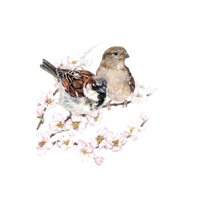 Servietter Kaffe "Sparrows Blossom" - 3 lags 25x25cm