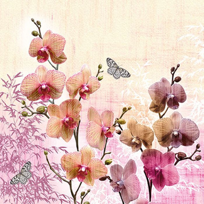 Lunsj-Servietter 33 "Orchid Orient" - Ambiente