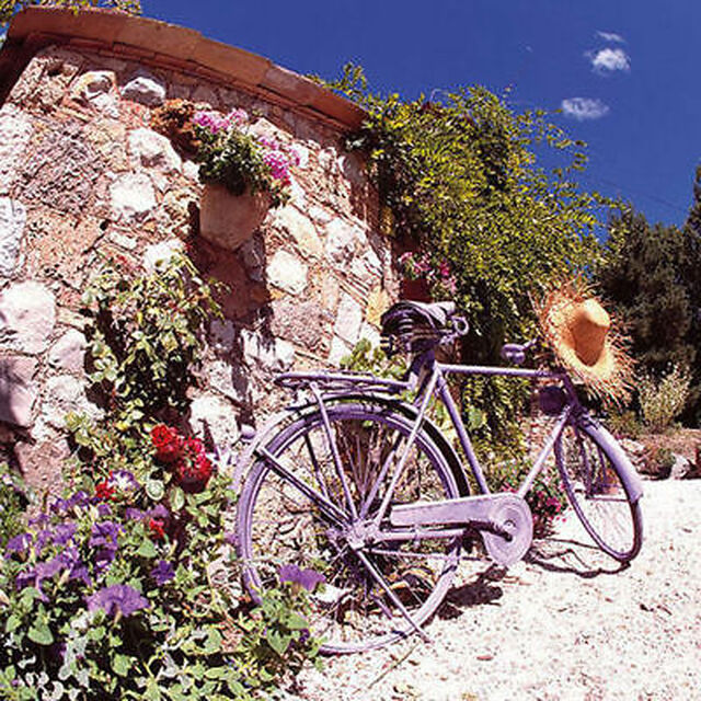 Lunsj-Servietter 33 "Bike in Provence" - Ambiente