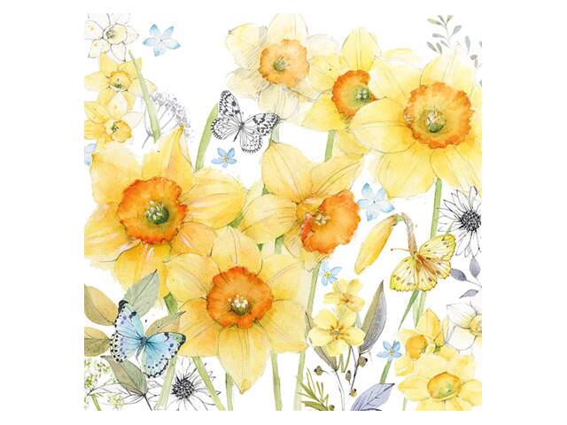 Lunsj-Servietter 33 "Classic Daffodils"