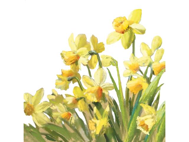 Servietter-Lunsj "Golden Daffodils" 20pk