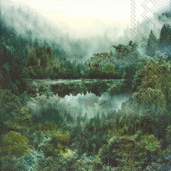 Servietter Lunsj - Magic Forest Grønn/blå