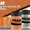 Drivstoffilter Fram P10195