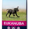 Eukanuba Puppy Large 15kg