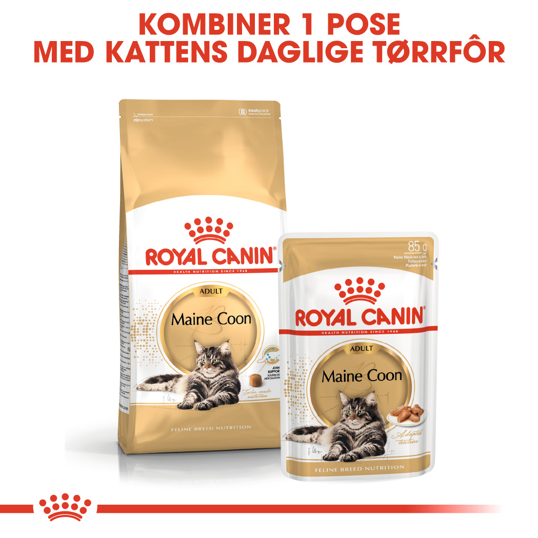 Royal Canin Maine coon 31 2kg