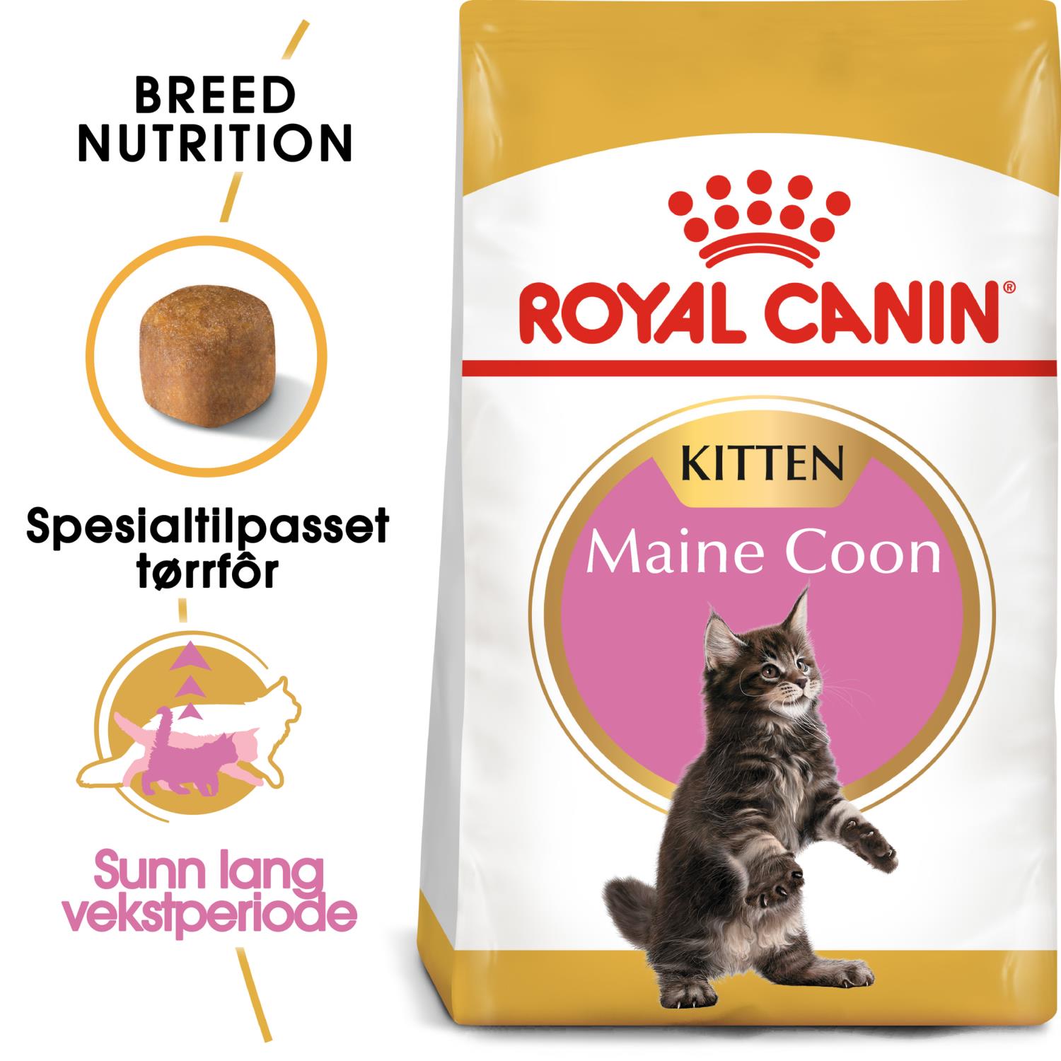 Royal Canin Maine Coon Kitten 4kg