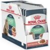 Royal Canin Digestive Care våtfor 12x85gr