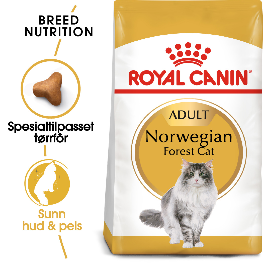 Royal Canin norsk skogkatt/ norwegian forest 2kg