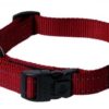 Rogz Halsbånd Utility L rød 34-56cm 20mm