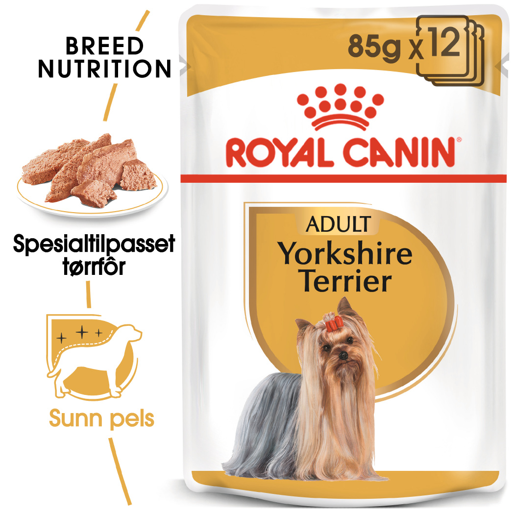 Royal Canin Yorkshire våtfor 12 x 85g
