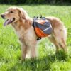 Kløvveske Ekstremback pack M orange