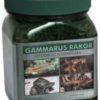 Gammarus reker 50gr frysetørket