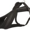 Hundesele Foret Sort XS/S 30-40cm