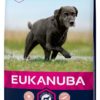 Eukanuba Caring senior Large breed 15kg