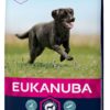 Eukanuba Active Adult Large 15kg