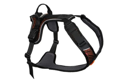 Rock harness M