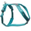 Non-Stop Line harness 5.0 nr 4 teal