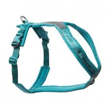 Non-Stop Line harness 5.0 nr 3 teal