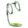 Rogz nightcat sele med kobbel XS lime