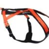 Rush harness svart/orange str 1