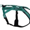 Rush harness teal str 1