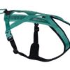 Rush harness teal str 4