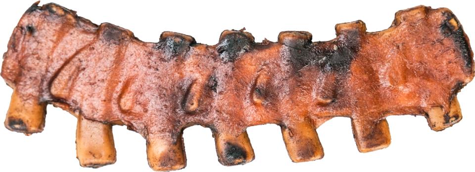 Companion dental chewing ribs XL STK
