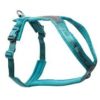 Non-Stop Line harness 5.0 nr 6 teal