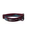 Non-stop Trail quest collar teal/wine M