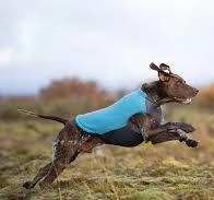 Non-stop Trail quest fleece pullover teal 27cm