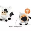 Barnyard buddies Cole the cow