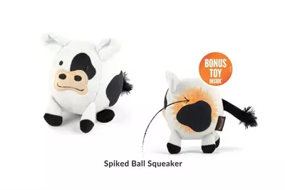 Barnyard buddies Cole the cow