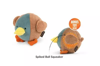 Barnyard buddies Dana the duck