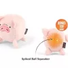 Barnyard buddies Paul the pig
