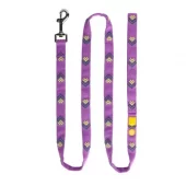 Wolly Wolf Northern Lights Leash