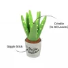 Blooming Buddies Cactus ''Aloe You Vera Much''