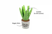 Blooming Buddies Cactus ''Aloe You Vera Much''