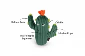 Blooming Buddies  Prickly Pup Cactus