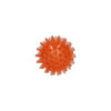 Dog comets Exoplanet orange 5cm